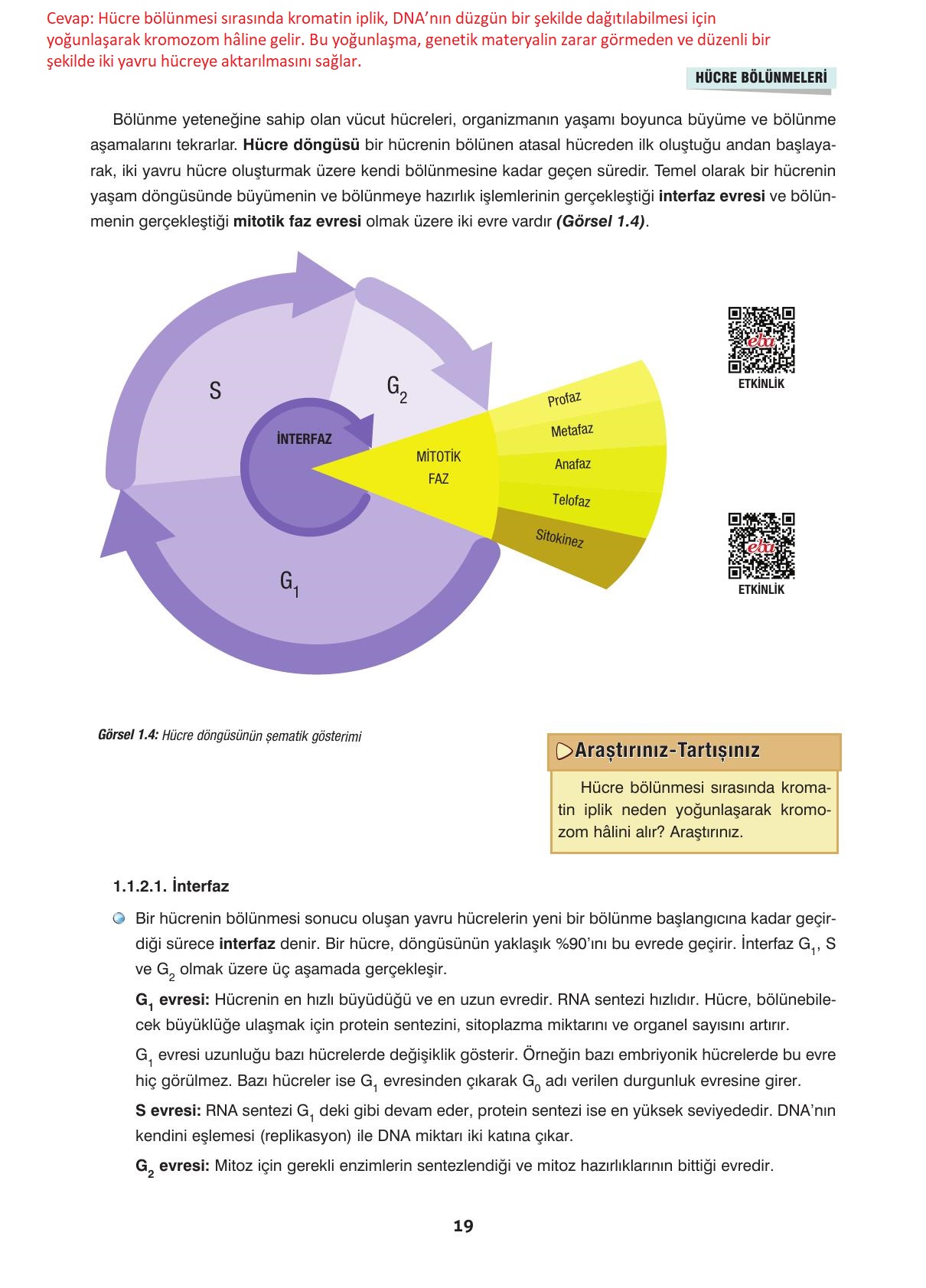 10. Sınıf Dörtel Yayıncılık Biyoloji Ders Kitabı Sayfa 19 Cevapları