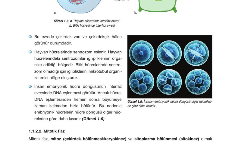 10. Sınıf Dörtel Yayıncılık Biyoloji Ders Kitabı Sayfa 20 Cevapları