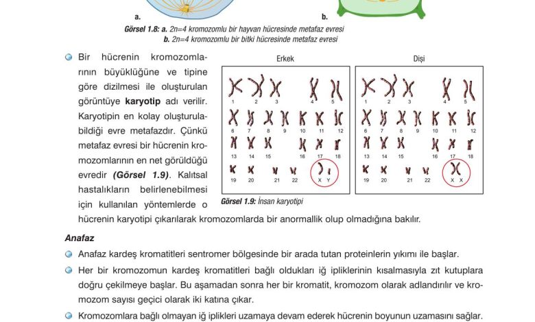 10. Sınıf Dörtel Yayıncılık Biyoloji Ders Kitabı Sayfa 22 Cevapları