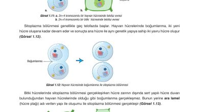 10. Sınıf Dörtel Yayıncılık Biyoloji Ders Kitabı Sayfa 23 Cevapları