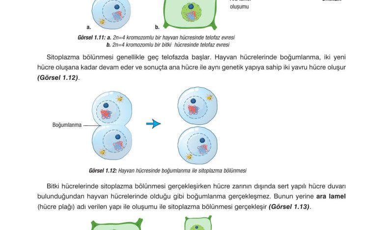 10. Sınıf Dörtel Yayıncılık Biyoloji Ders Kitabı Sayfa 23 Cevapları