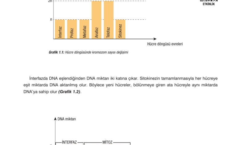 10. Sınıf Dörtel Yayıncılık Biyoloji Ders Kitabı Sayfa 25 Cevapları