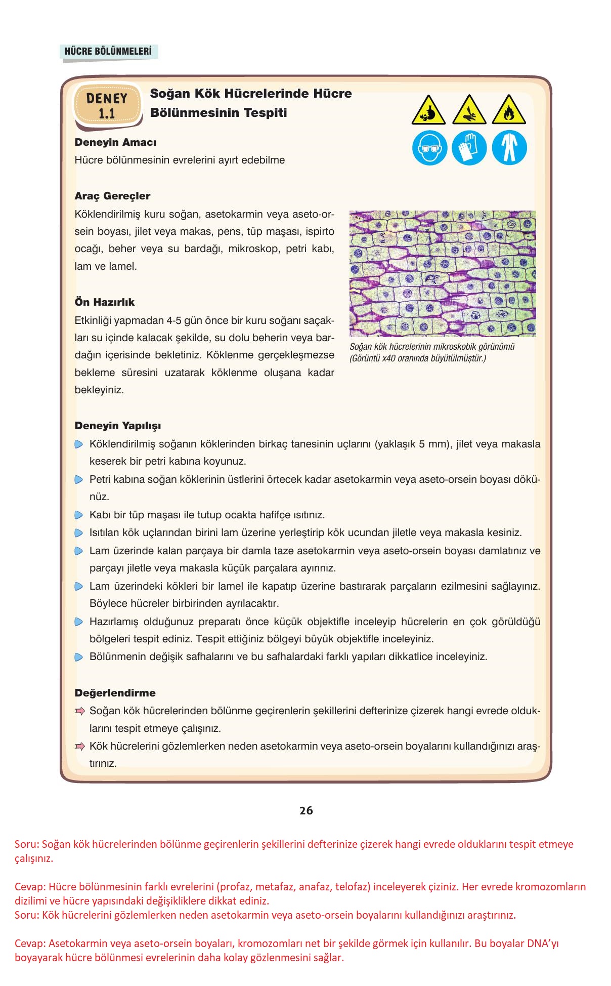 10. Sınıf Dörtel Yayıncılık Biyoloji Ders Kitabı Sayfa 26 Cevapları