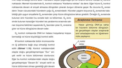 10. Sınıf Dörtel Yayıncılık Biyoloji Ders Kitabı Sayfa 27 Cevapları