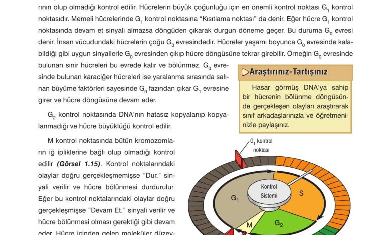 10. Sınıf Dörtel Yayıncılık Biyoloji Ders Kitabı Sayfa 27 Cevapları