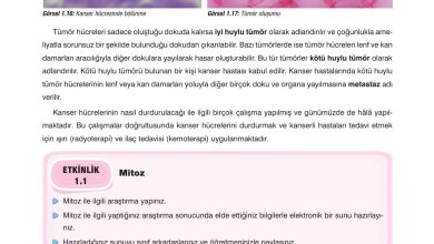 10. Sınıf Dörtel Yayıncılık Biyoloji Ders Kitabı Sayfa 28 Cevapları