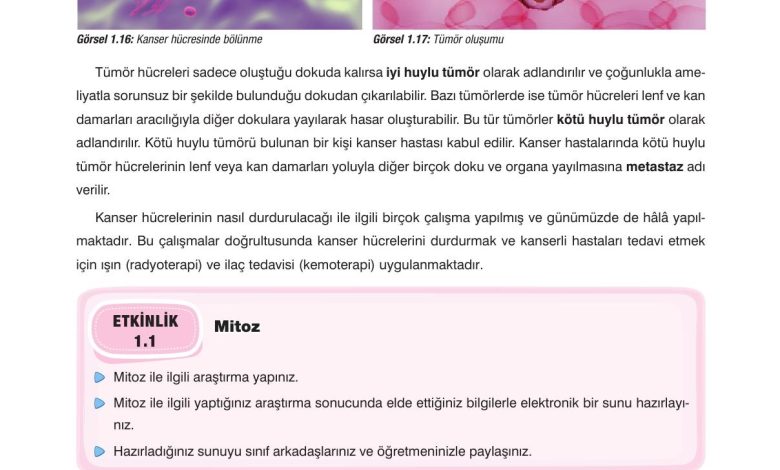 10. Sınıf Dörtel Yayıncılık Biyoloji Ders Kitabı Sayfa 28 Cevapları