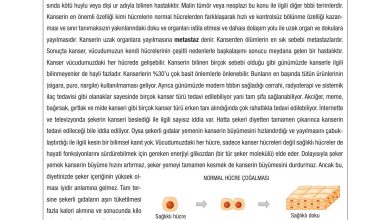 10. Sınıf Dörtel Yayıncılık Biyoloji Ders Kitabı Sayfa 29 Cevapları