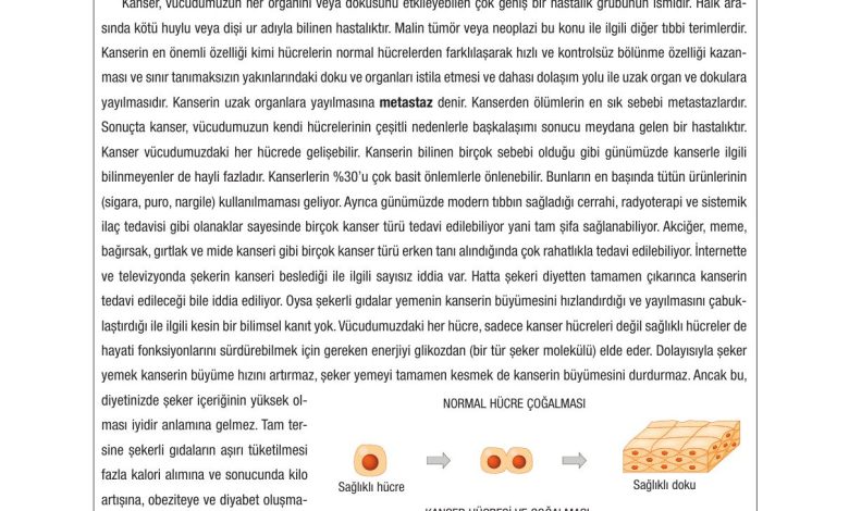 10. Sınıf Dörtel Yayıncılık Biyoloji Ders Kitabı Sayfa 29 Cevapları