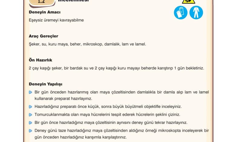 10. Sınıf Dörtel Yayıncılık Biyoloji Ders Kitabı Sayfa 31 Cevapları