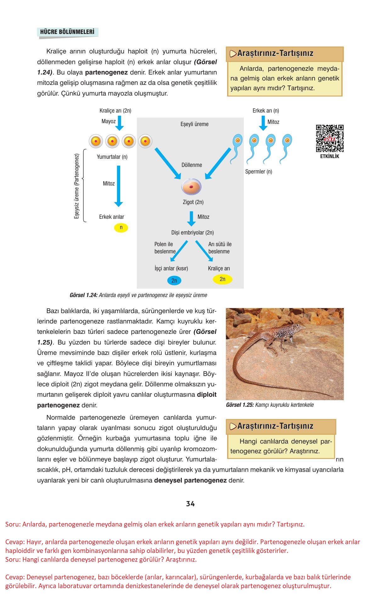 10. Sınıf Dörtel Yayıncılık Biyoloji Ders Kitabı Sayfa 34 Cevapları
