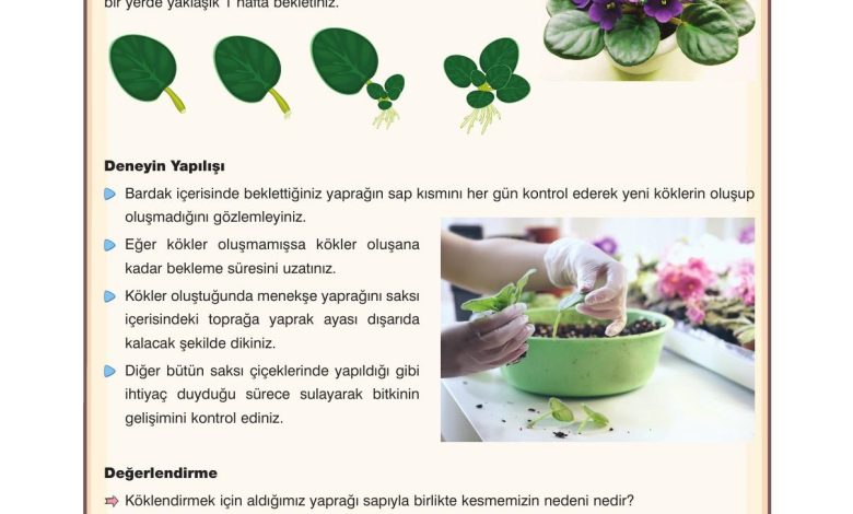 10. Sınıf Dörtel Yayıncılık Biyoloji Ders Kitabı Sayfa 38 Cevapları