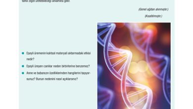 10. Sınıf Dörtel Yayıncılık Biyoloji Ders Kitabı Sayfa 40 Cevapları