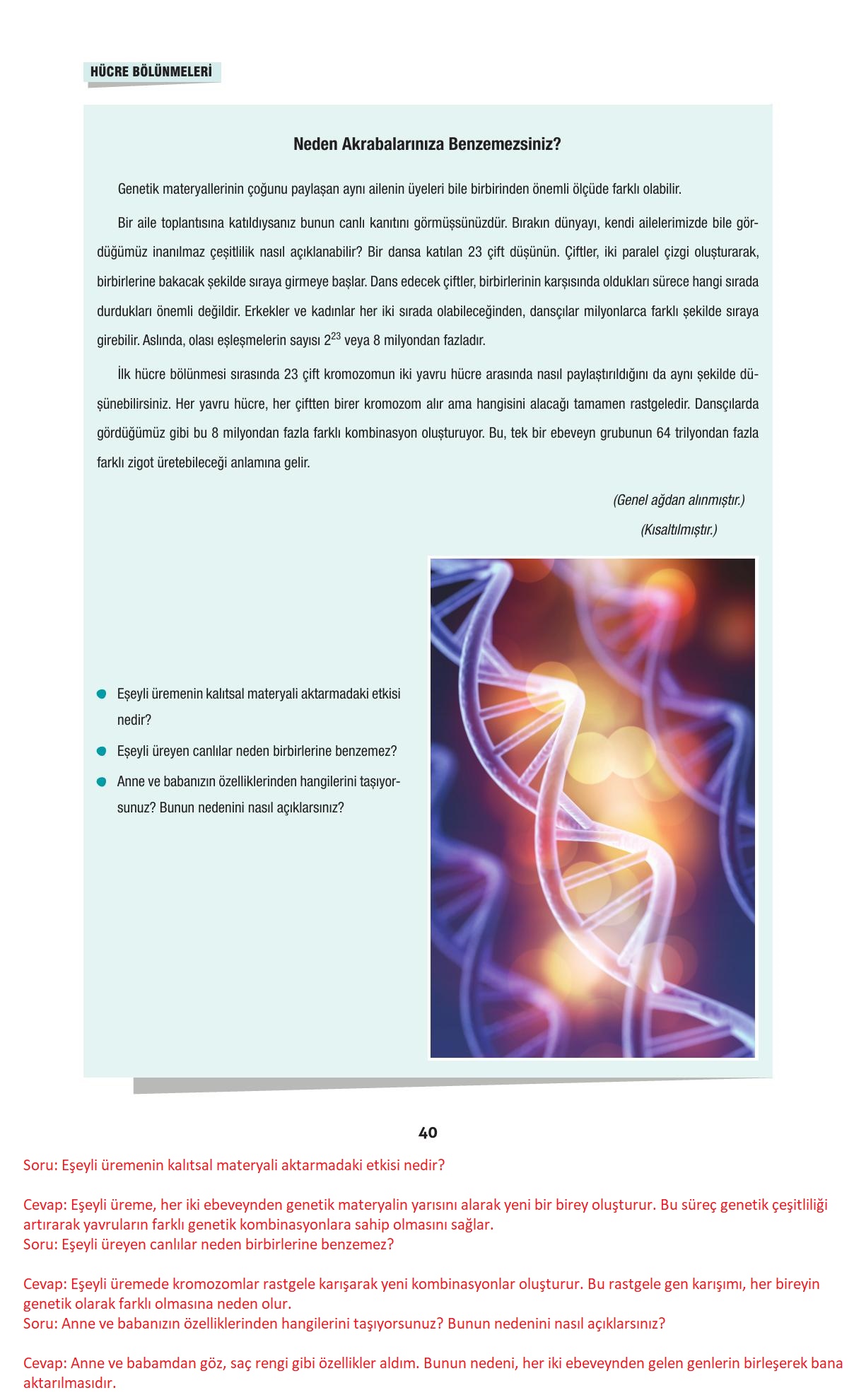 10. Sınıf Dörtel Yayıncılık Biyoloji Ders Kitabı Sayfa 40 Cevapları
