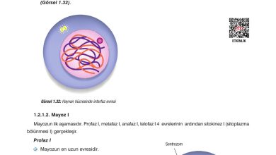 10. Sınıf Dörtel Yayıncılık Biyoloji Ders Kitabı Sayfa 42 Cevapları