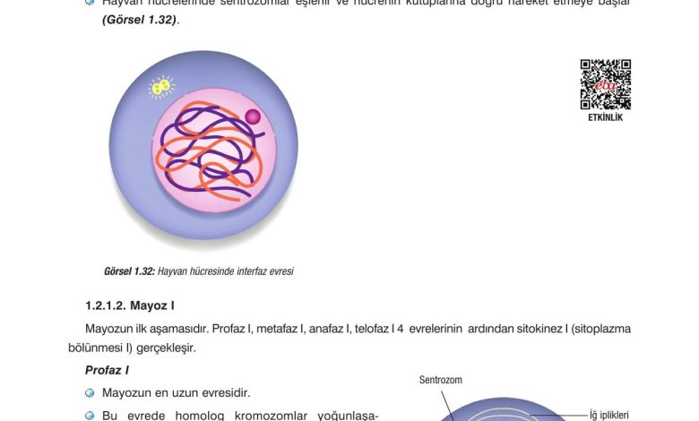 10. Sınıf Dörtel Yayıncılık Biyoloji Ders Kitabı Sayfa 42 Cevapları