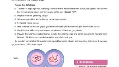 10. Sınıf Dörtel Yayıncılık Biyoloji Ders Kitabı Sayfa 44 Cevapları