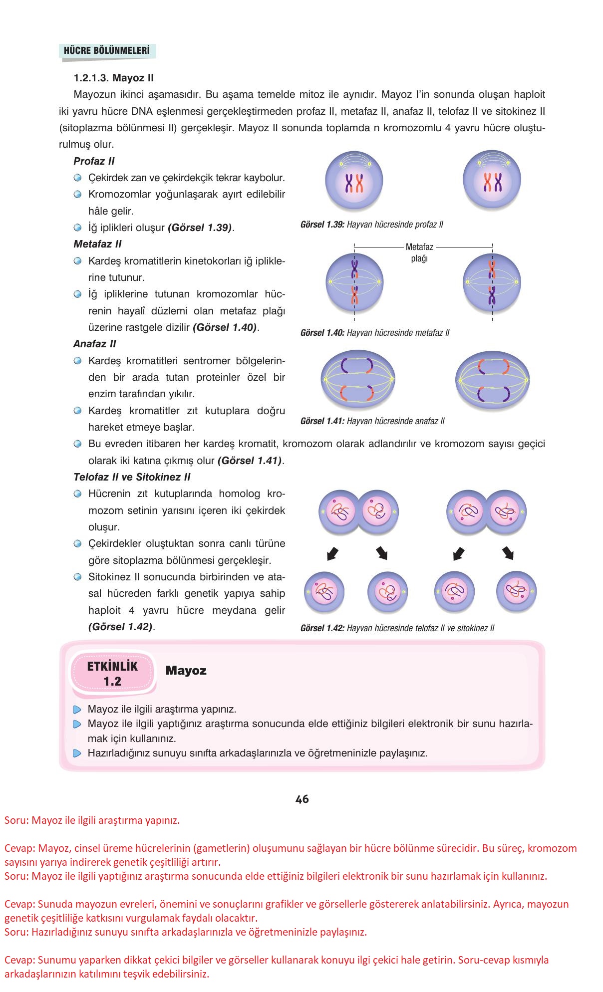 10. Sınıf Dörtel Yayıncılık Biyoloji Ders Kitabı Sayfa 46 Cevapları