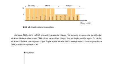 10. Sınıf Dörtel Yayıncılık Biyoloji Ders Kitabı Sayfa 48 Cevapları