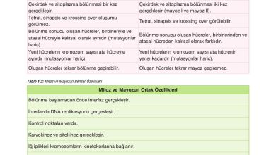 10. Sınıf Dörtel Yayıncılık Biyoloji Ders Kitabı Sayfa 49 Cevapları