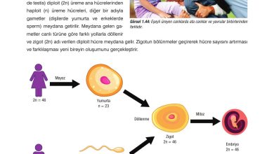 10. Sınıf Dörtel Yayıncılık Biyoloji Ders Kitabı Sayfa 50 Cevapları