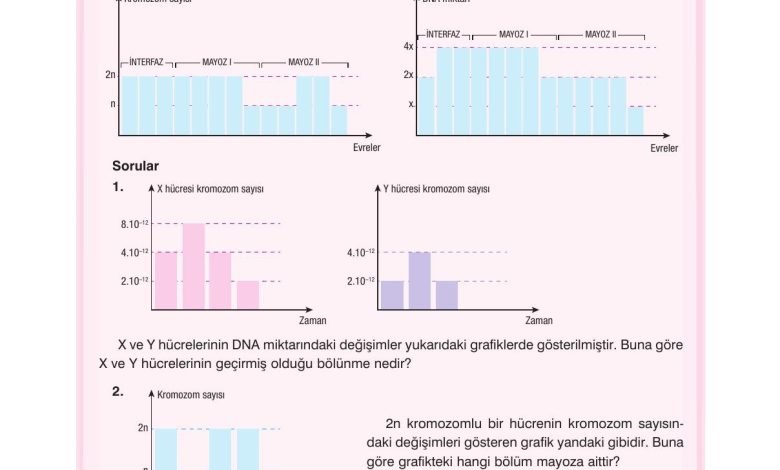 10. Sınıf Dörtel Yayıncılık Biyoloji Ders Kitabı Sayfa 53 Cevapları