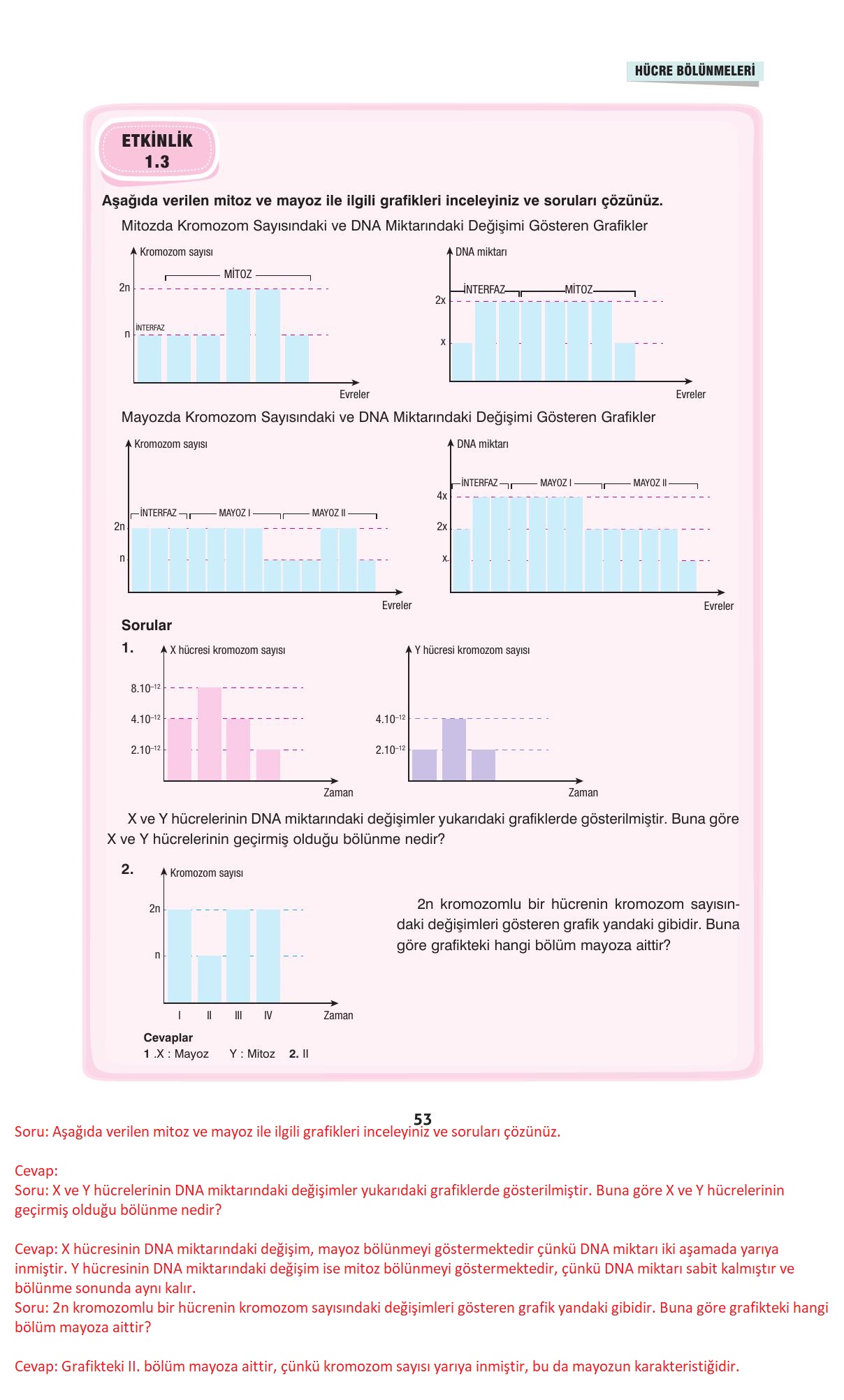 10. Sınıf Dörtel Yayıncılık Biyoloji Ders Kitabı Sayfa 53 Cevapları