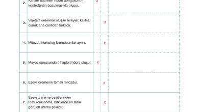 10. Sınıf Dörtel Yayıncılık Biyoloji Ders Kitabı Sayfa 54 Cevapları