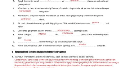 10. Sınıf Dörtel Yayıncılık Biyoloji Ders Kitabı Sayfa 55 Cevapları