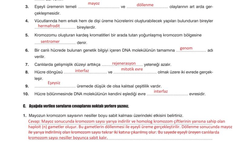 10. Sınıf Dörtel Yayıncılık Biyoloji Ders Kitabı Sayfa 55 Cevapları