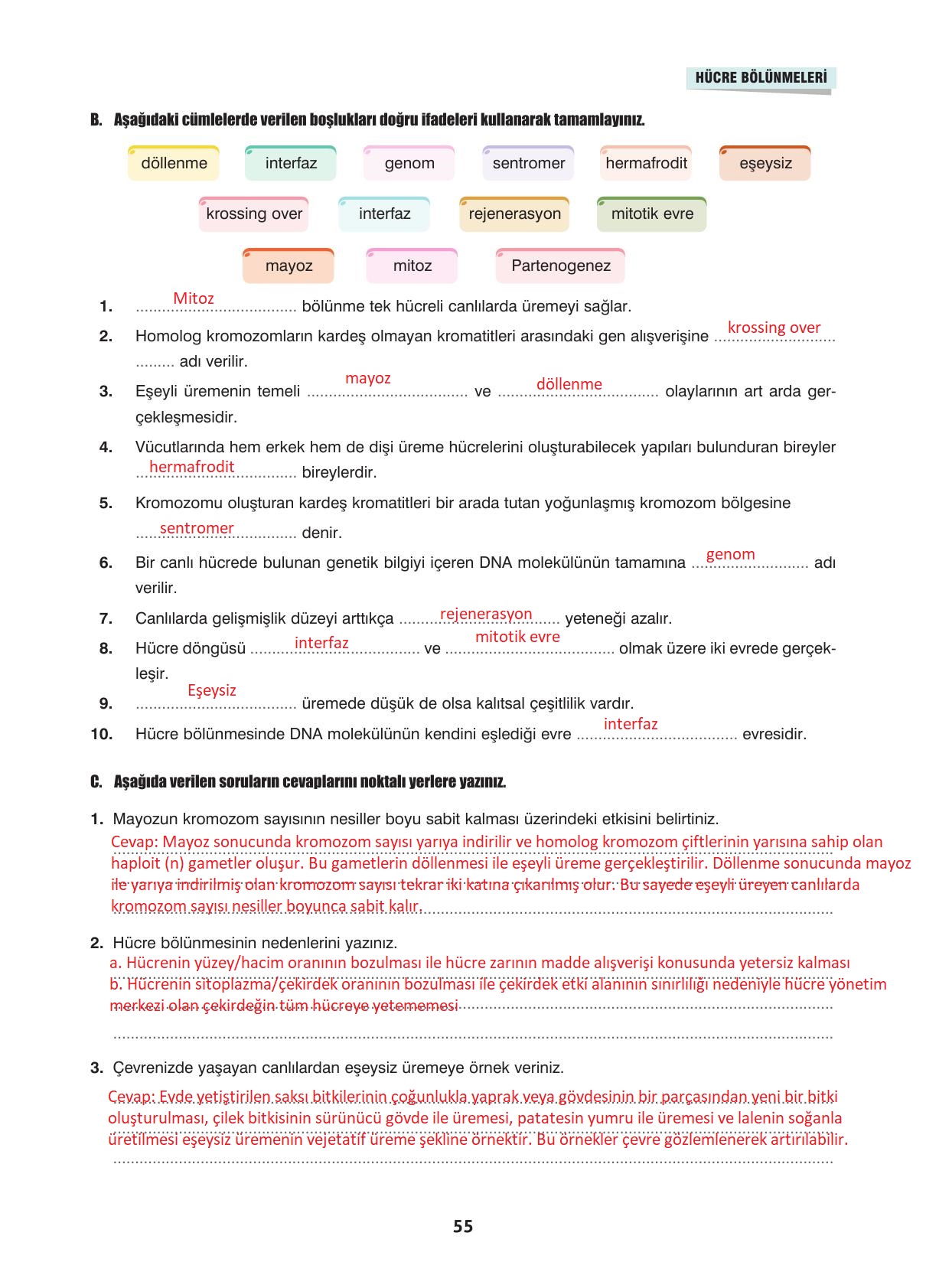 10. Sınıf Dörtel Yayıncılık Biyoloji Ders Kitabı Sayfa 55 Cevapları