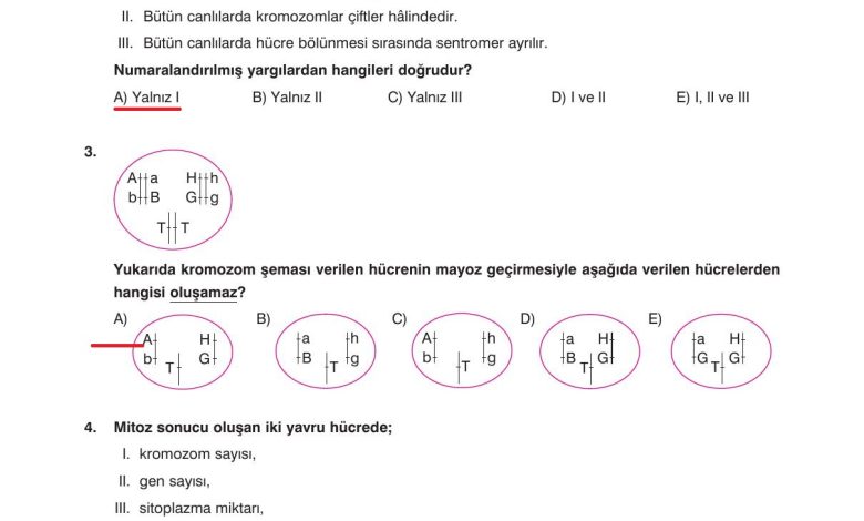 10. Sınıf Dörtel Yayıncılık Biyoloji Ders Kitabı Sayfa 58 Cevapları