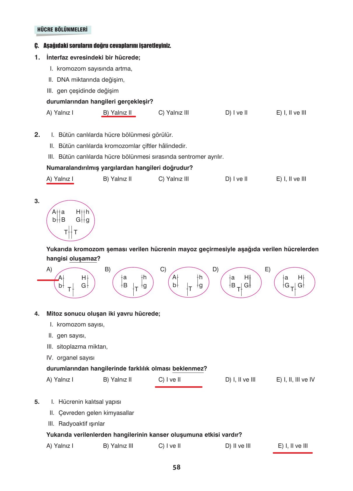 10. Sınıf Dörtel Yayıncılık Biyoloji Ders Kitabı Sayfa 58 Cevapları