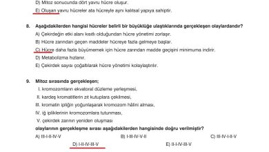 10. Sınıf Dörtel Yayıncılık Biyoloji Ders Kitabı Sayfa 59 Cevapları