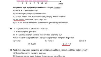 10. Sınıf Dörtel Yayıncılık Biyoloji Ders Kitabı Sayfa 60 Cevapları