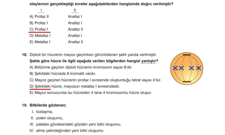 10. Sınıf Dörtel Yayıncılık Biyoloji Ders Kitabı Sayfa 61 Cevapları