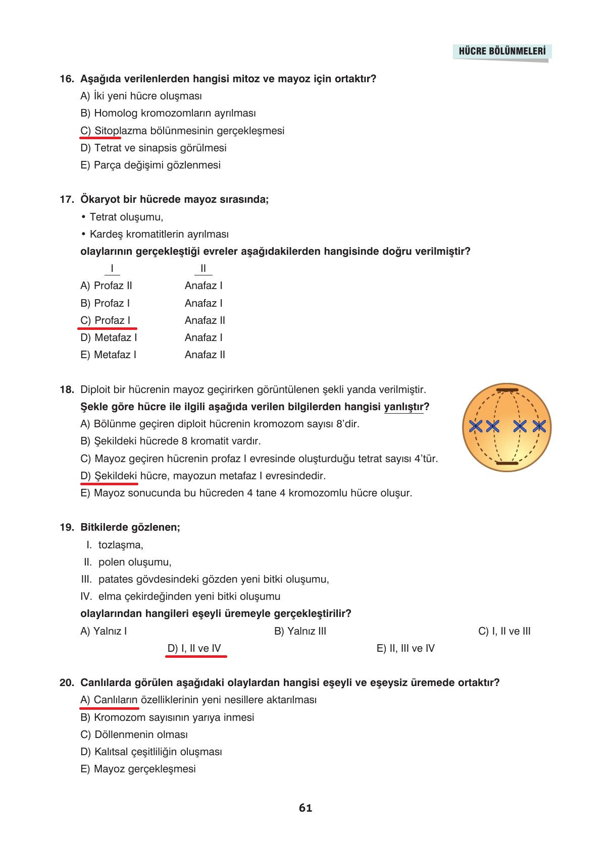 10. Sınıf Dörtel Yayıncılık Biyoloji Ders Kitabı Sayfa 61 Cevapları