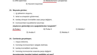 10. Sınıf Dörtel Yayıncılık Biyoloji Ders Kitabı Sayfa 62 Cevapları