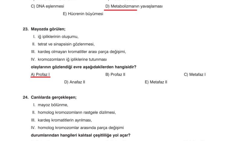 10. Sınıf Dörtel Yayıncılık Biyoloji Ders Kitabı Sayfa 62 Cevapları