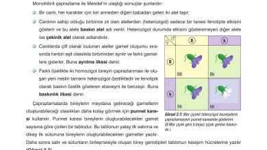 10. Sınıf Dörtel Yayıncılık Biyoloji Ders Kitabı Sayfa 70 Cevapları