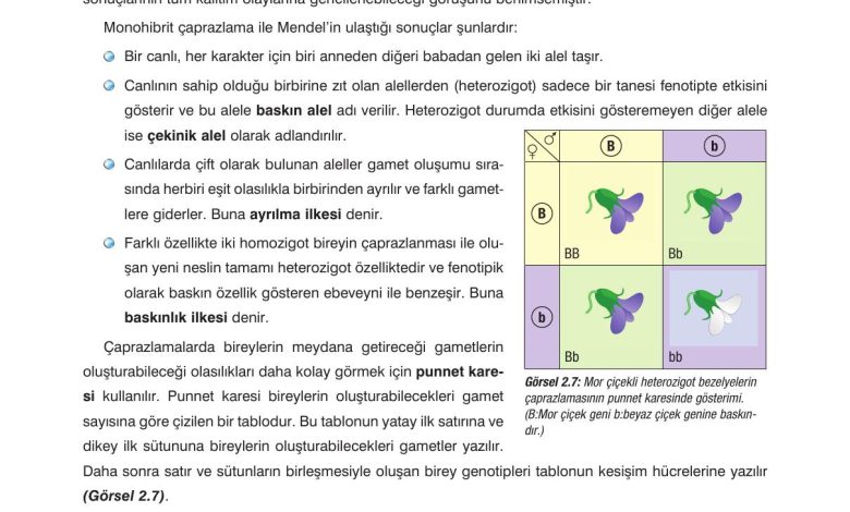 10. Sınıf Dörtel Yayıncılık Biyoloji Ders Kitabı Sayfa 70 Cevapları