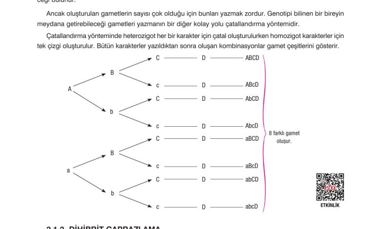 10. Sınıf Dörtel Yayıncılık Biyoloji Ders Kitabı Sayfa 71 Cevapları