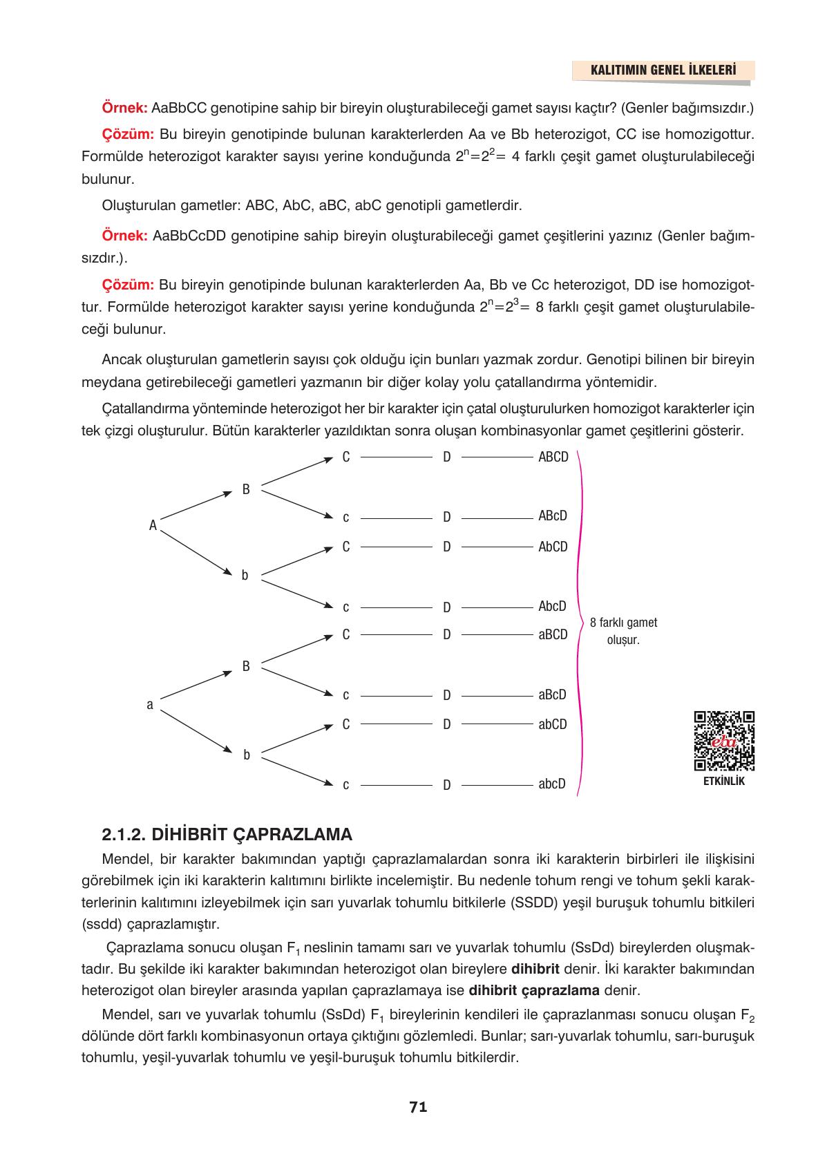 10. Sınıf Dörtel Yayıncılık Biyoloji Ders Kitabı Sayfa 71 Cevapları