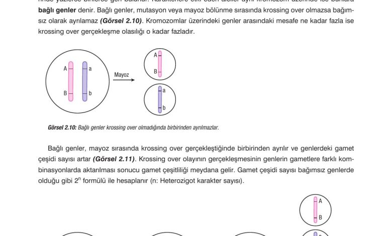 10. Sınıf Dörtel Yayıncılık Biyoloji Ders Kitabı Sayfa 73 Cevapları