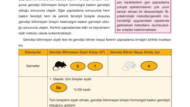 10. Sınıf Dörtel Yayıncılık Biyoloji Ders Kitabı Sayfa 75 Cevapları