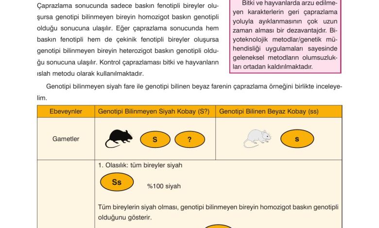 10. Sınıf Dörtel Yayıncılık Biyoloji Ders Kitabı Sayfa 75 Cevapları