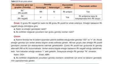 10. Sınıf Dörtel Yayıncılık Biyoloji Ders Kitabı Sayfa 78 Cevapları