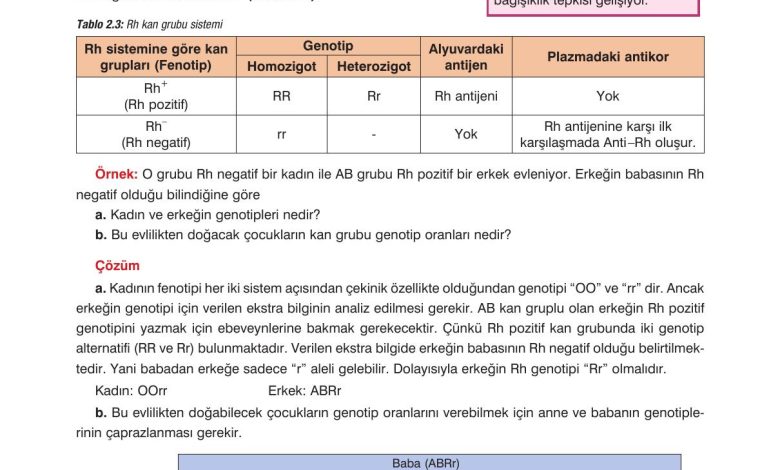 10. Sınıf Dörtel Yayıncılık Biyoloji Ders Kitabı Sayfa 78 Cevapları