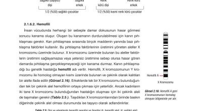 10. Sınıf Dörtel Yayıncılık Biyoloji Ders Kitabı Sayfa 82 Cevapları