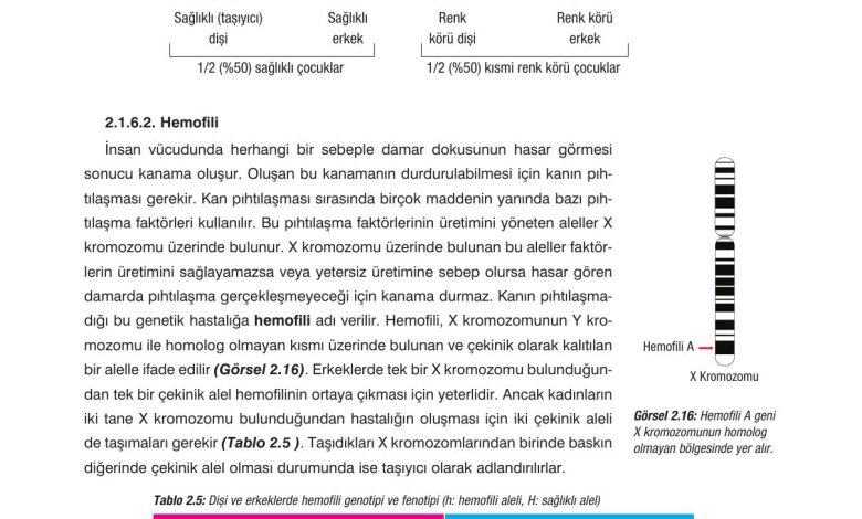 10. Sınıf Dörtel Yayıncılık Biyoloji Ders Kitabı Sayfa 82 Cevapları